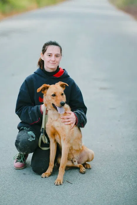 Пропав пес Брок — Лісовий масив, Київ 2